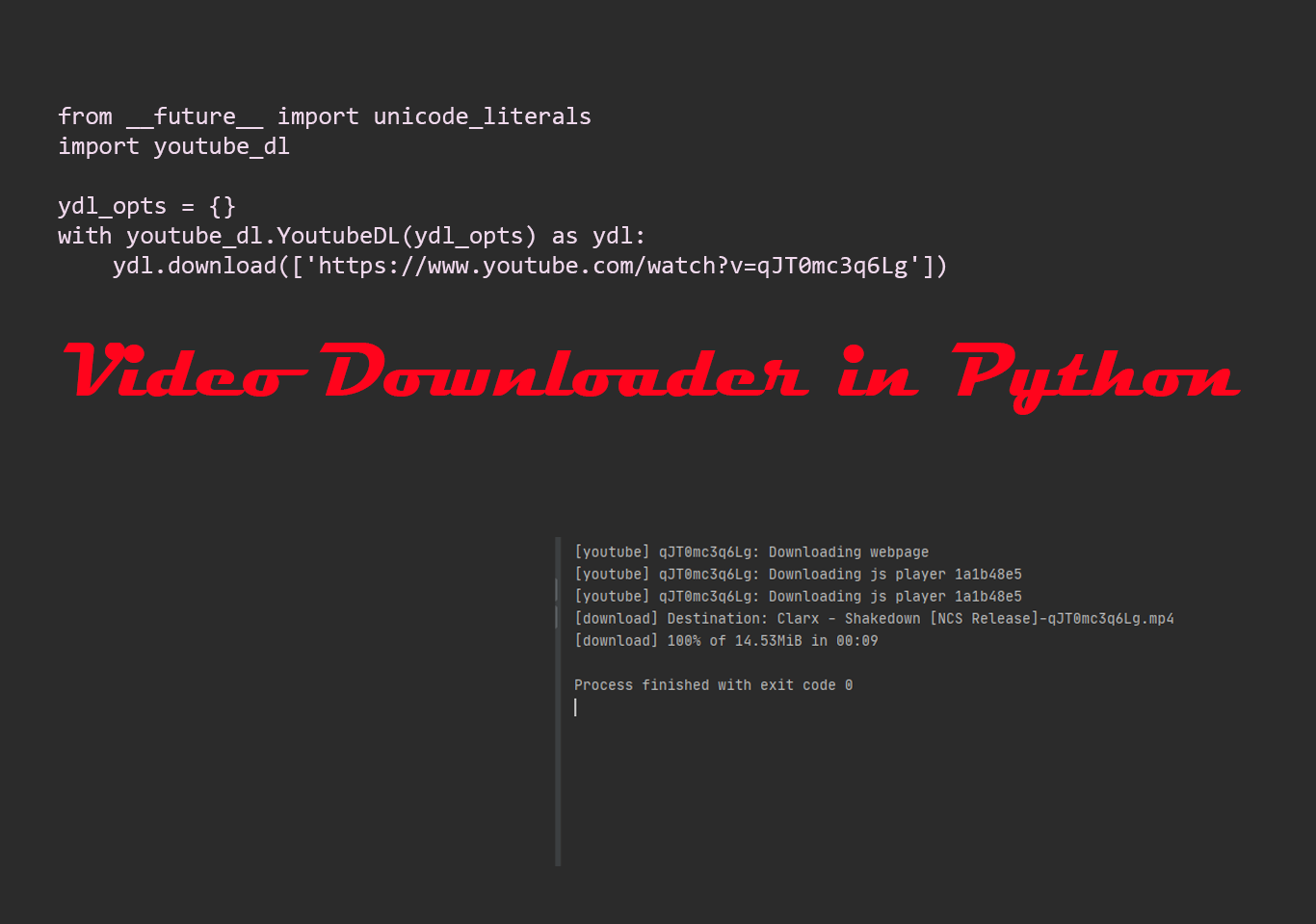 Video downloader in python with source code