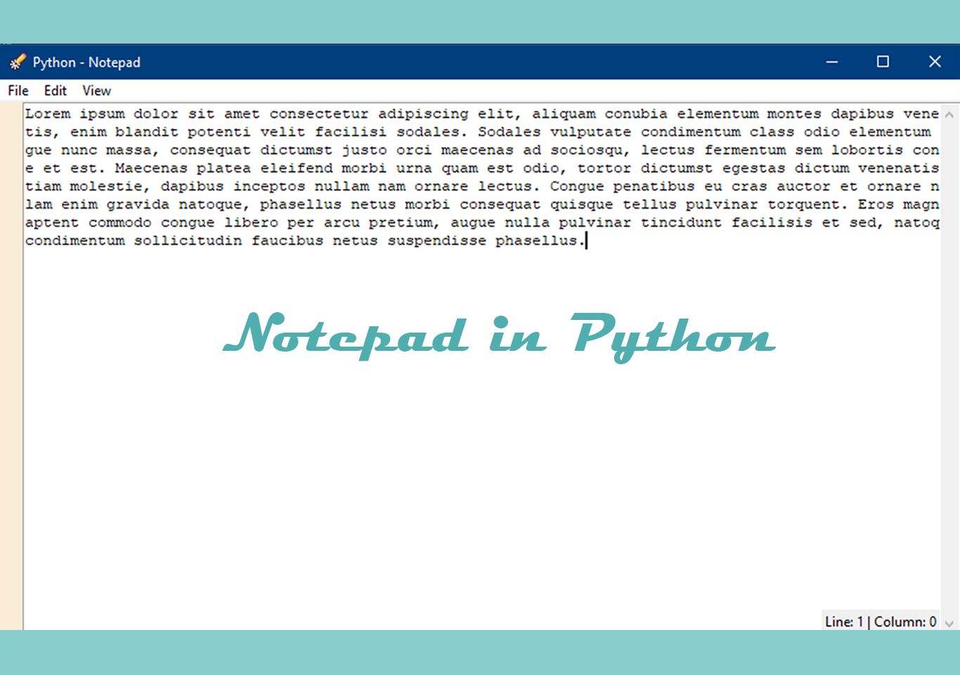 Notepad in python tkinter with source code