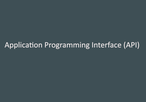 Application programming interface (API)