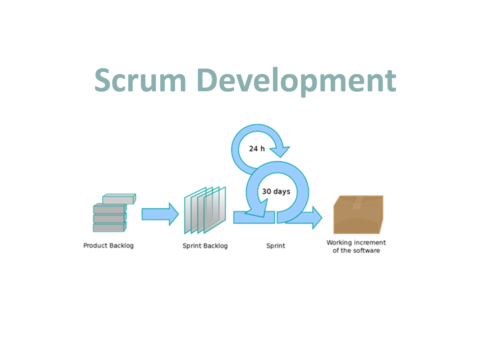 Scrum development