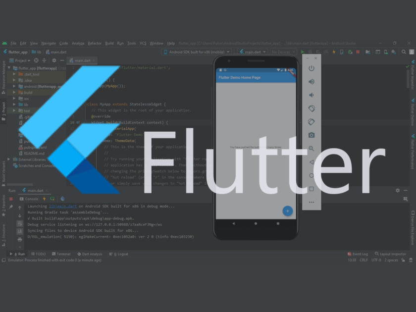 flutter - feature
