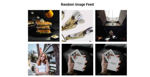 Random image feed in JS
