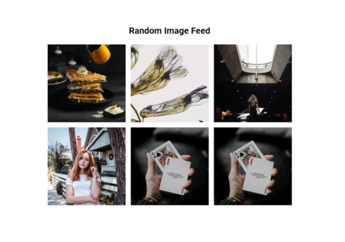 Random image feed in JavaScript