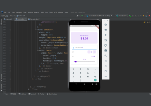 Tip calculator flutter app with source code