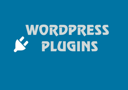 What is WordPress plugin?