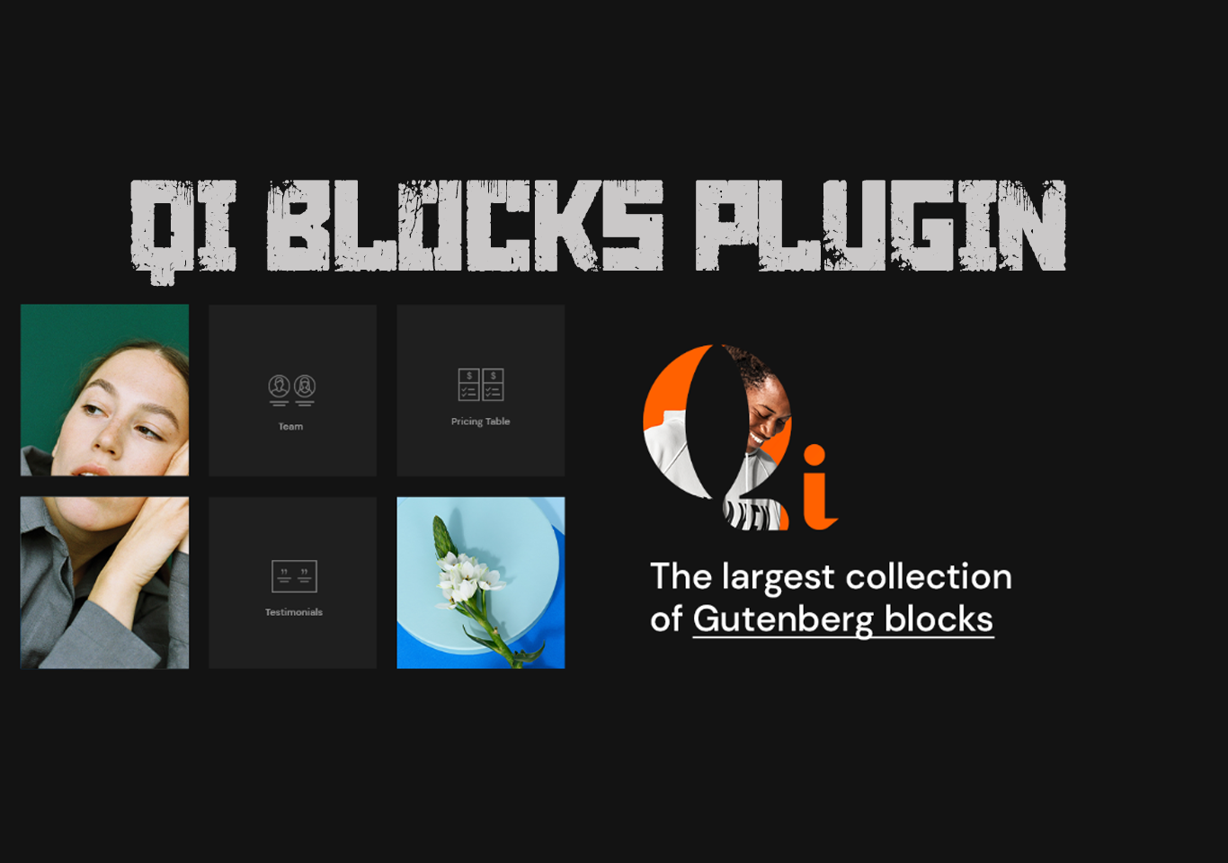 Qi blocks WordPress plugin