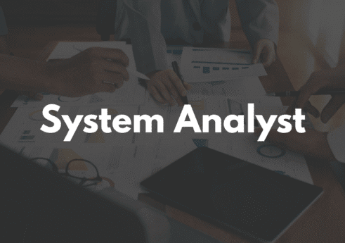 What is system analyst?