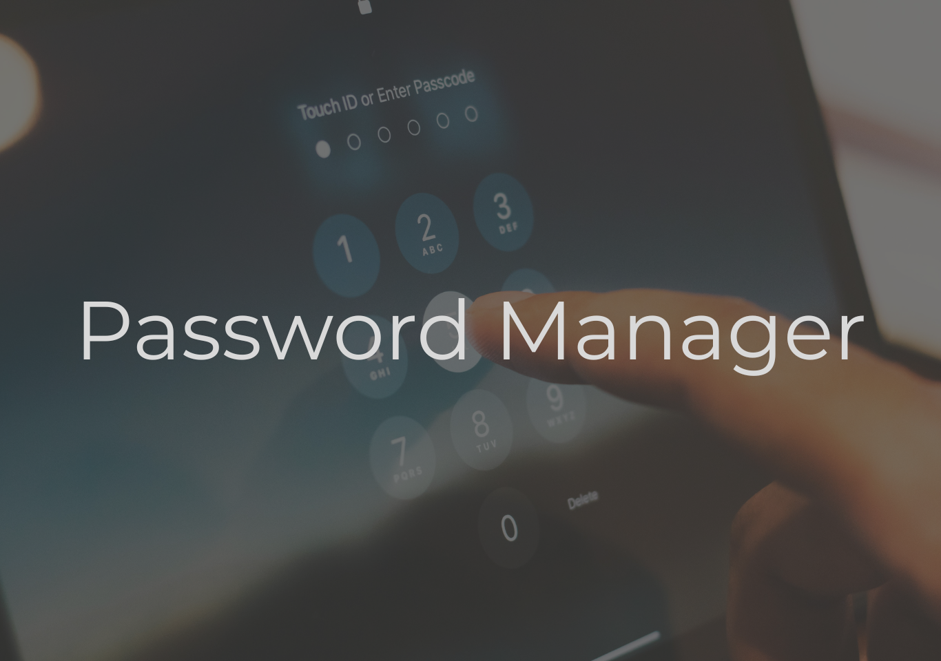Password manager in python GUI