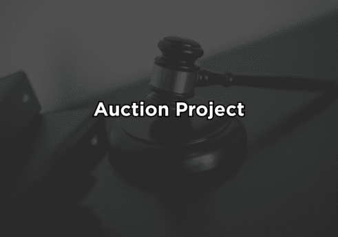 Auction project in python