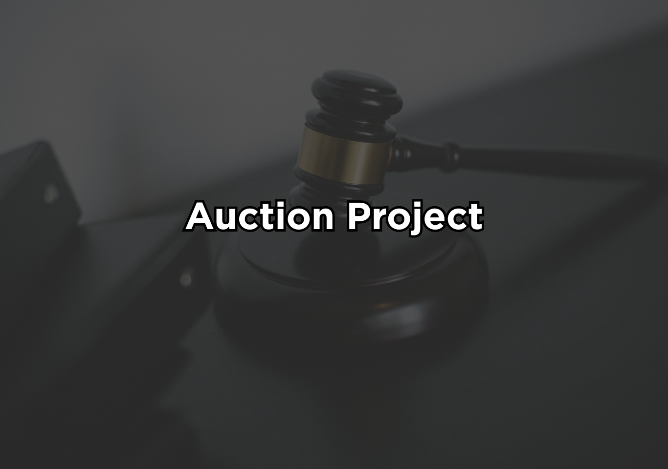 Auction project in python